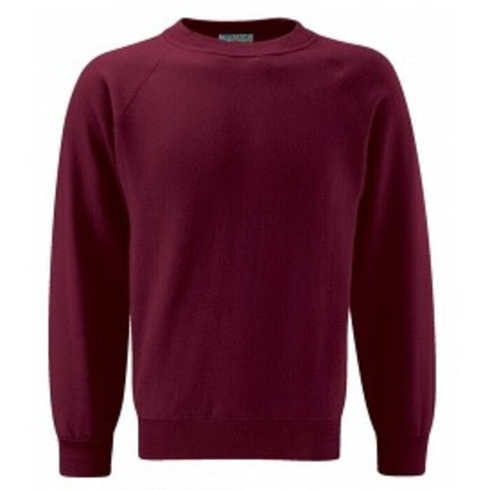 Select Raglan Sweatshirt - Junior Thumbnail