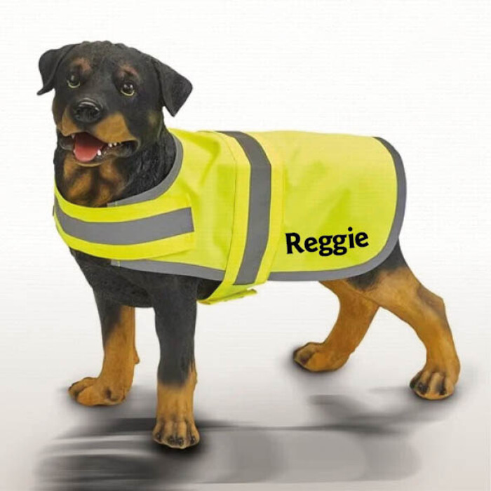 Hi-Vis Dog Vest Thumbnail